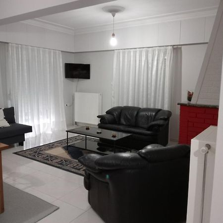 Spacious Apartment Anatoli Ioannina Exterior photo