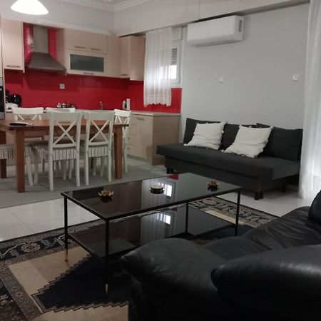 Spacious Apartment Anatoli Ioannina Exterior photo